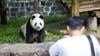 Two giant pandas are being sent to San Diego Zoo from China