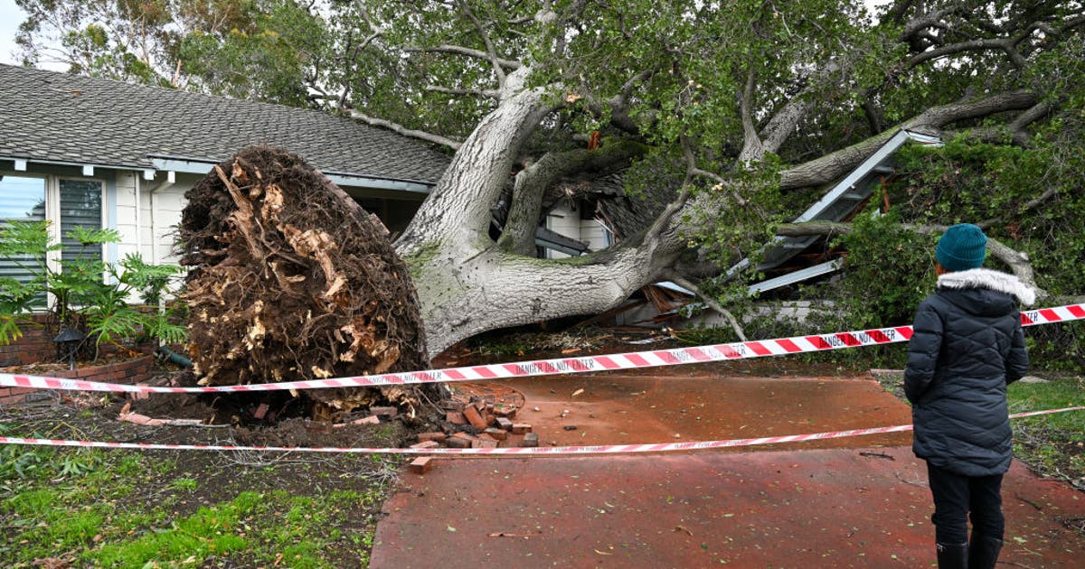California storm knocks out power to whopping 1.4M customers | KTVU FOX 2
