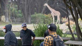 San Francisco Zoo warns of ticket scam