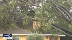 Few power outages, damage reported on Peninsula in wake of storms