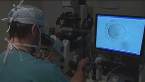Alabama's IVF ruling could send wave of patients to Bay Area