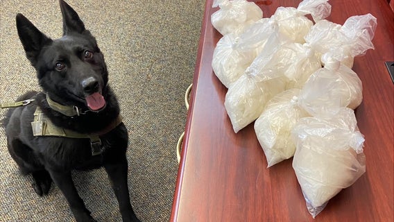 Sonoma County K-9 alerts to dog biscuit boxes allegedly filled with meth