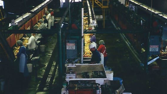 Sonoma County's 101-year-old apple processing plant leaving town