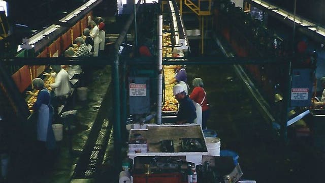 Sonoma County's 101-year-old apple processing plant leaving town