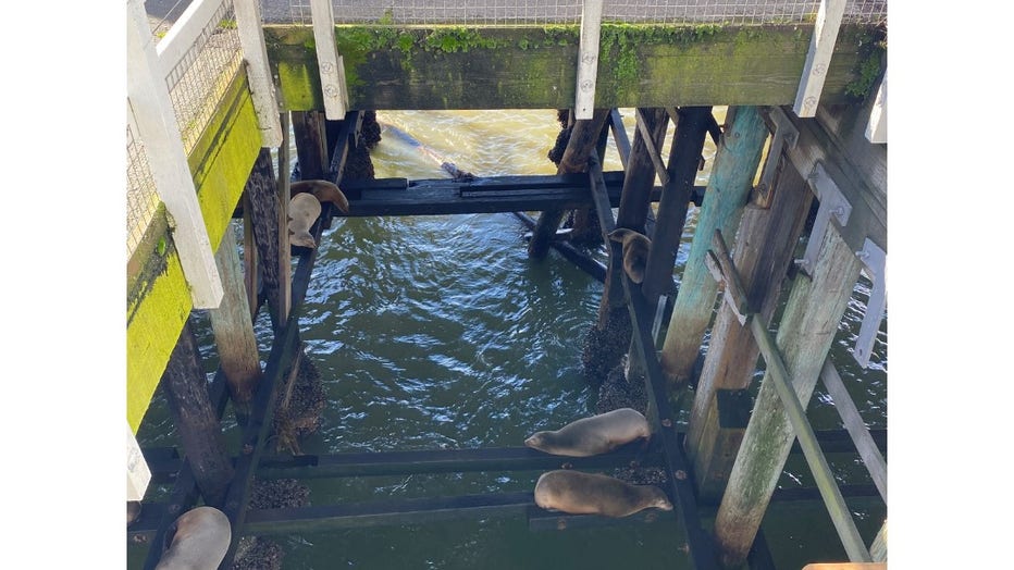 Santa Cruz Wharf damaged after being battered by storm