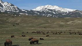 As Yellowstone turns 152, here's where to find America's newest national parks