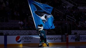 San Jose Sharks sued over child sex abuse cover-up