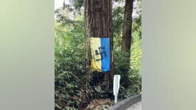 Mill Valley vandal spray paints swastikas on Ukrainian flags