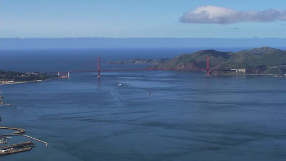 Police discover body in San Francisco Bay, west of Golden Gate Bridge