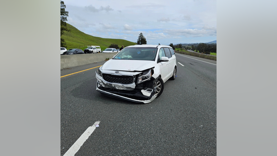 Dick's Sporting Goods in Santa Rosa hit by thieves who crash after police pursuit