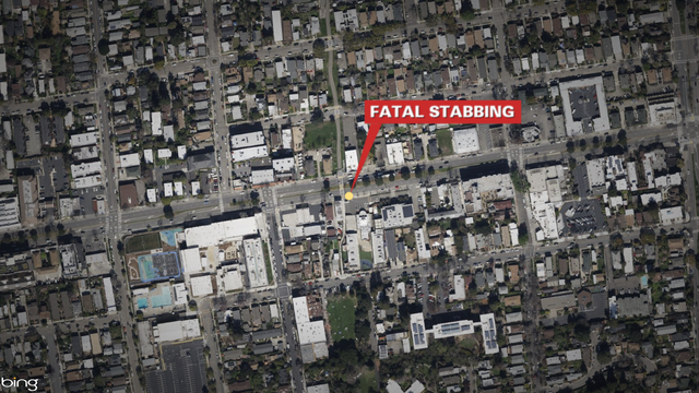 Daughter accused of stabbing mother to death in Berkeley