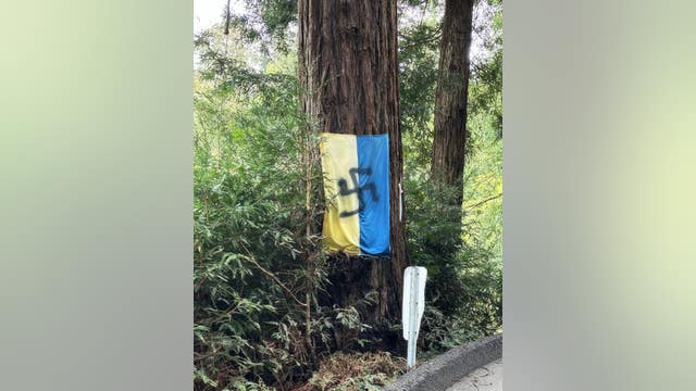 Mill Valley vandal spray paints swastikas on Ukrainian flags