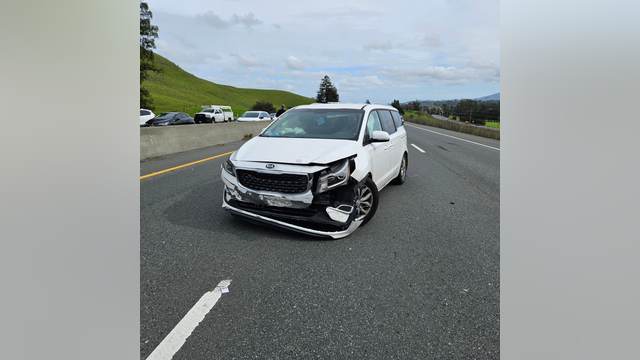 Dick's Sporting Goods in Santa Rosa hit by thieves who crash after police pursuit