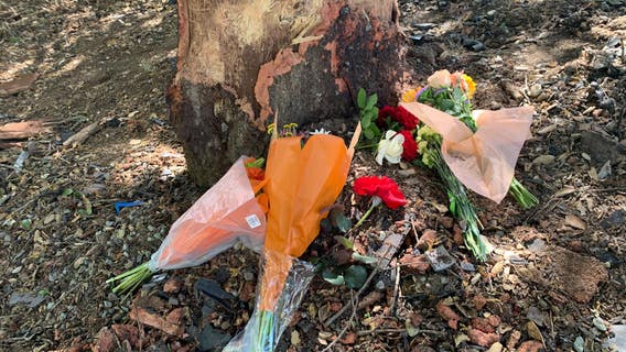 Speed possible factor in Pleasanton crash that killed family of four