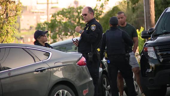 Man allegedly attacks Piedmont police chief, elderly Ace customer