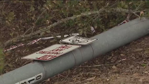 Family of four killed in Pleasanton crash