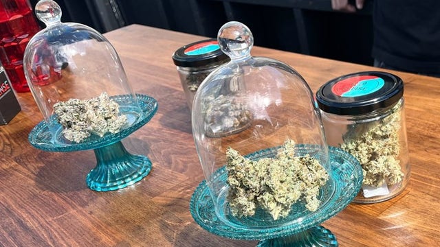 First annual San Francisco Weed Week to kick off this month