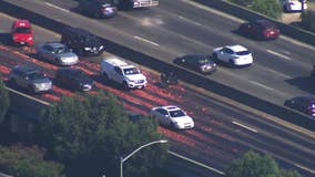 Truck spills meat onto Oakland highway causing big mess