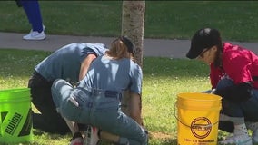 Volunteers from major San Francisco companies clean up downtown