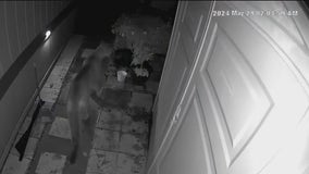 Mountain lion visits two Milpitas neighborhoods