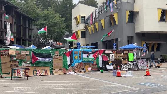 Gaza war protests at UC Santa Cruz prompt remote learning