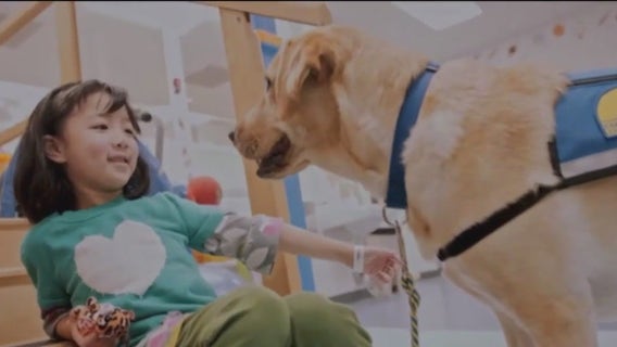 UCSF Benioff Children's Hospitals gear up for annual charity event