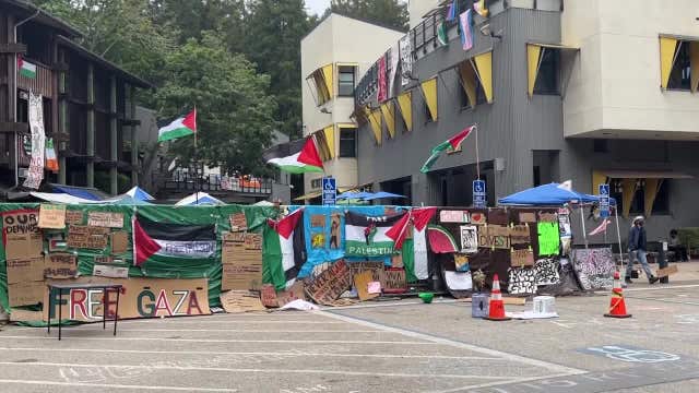 Gaza war protests at UC Santa Cruz prompt remote learning