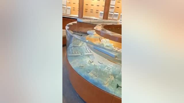 Newark jewelry store robbers escape with armloads of loot in minutes