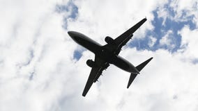 Bird strike forces flight from Oakland airport to return