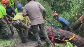 7-hour rescue of horse that fell down Point Reyes ravine