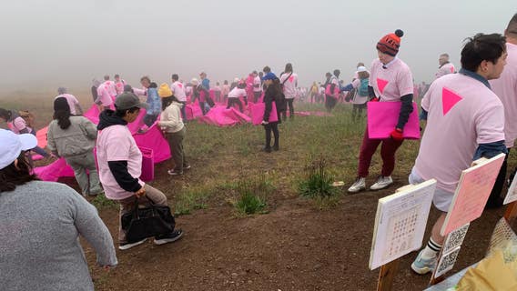 Largest pink triangle yet installed in San Francisco in honor of Pride Month