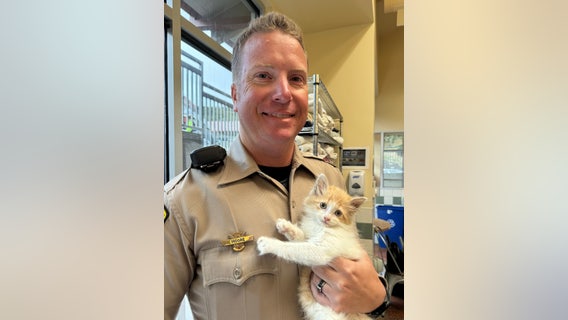 CHP officer saves kitten off freeway and returns to adopt her
