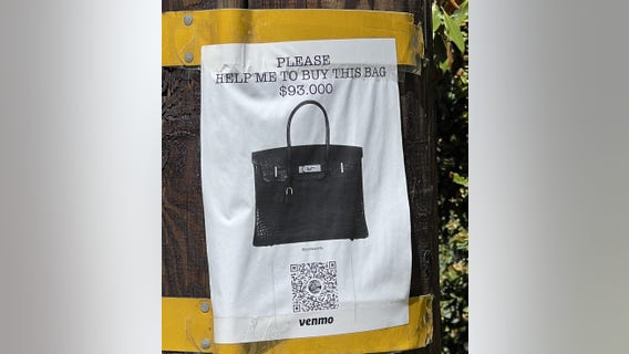 Crowdfunding for a Birkin? One woman in California gave it a try