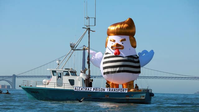 'Trump Chicken' to greet Donald Trump during San Francisco visit