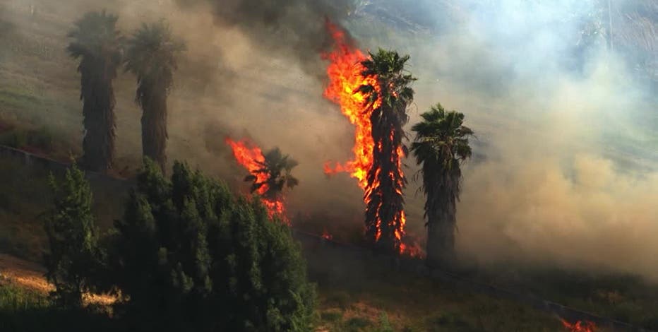 Firefighters battle grass fires in Sonoma, Alameda counties