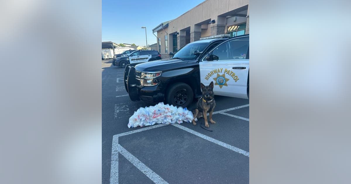 CHP K9 detects large cache of meth, worth $250K, during traffic stop ...