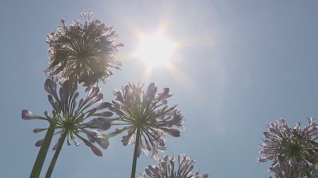 Santa Clara County to increase outreach personnel amid rising potential heat-related deaths