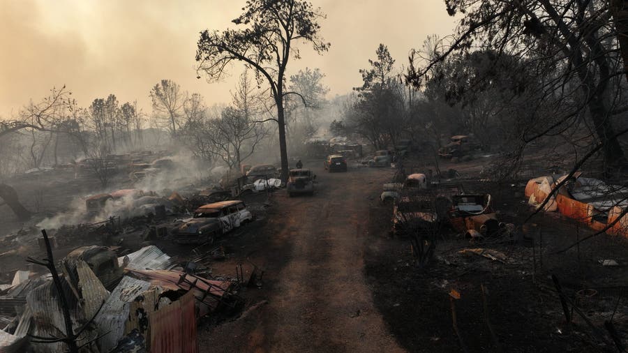 Park Fire largest California wildfire this year