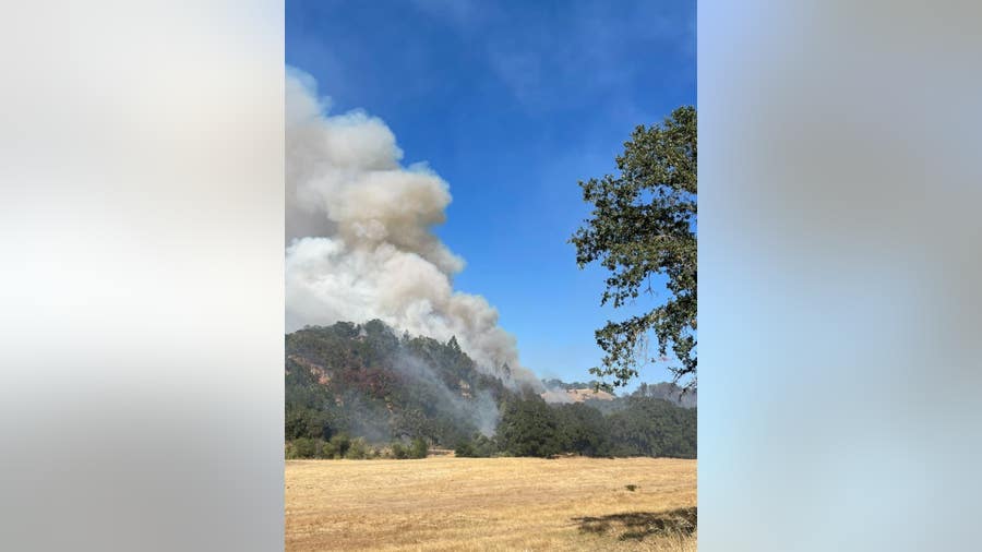 Man who drove truck missing front tire suspected of sparking wildfire in Sonoma County