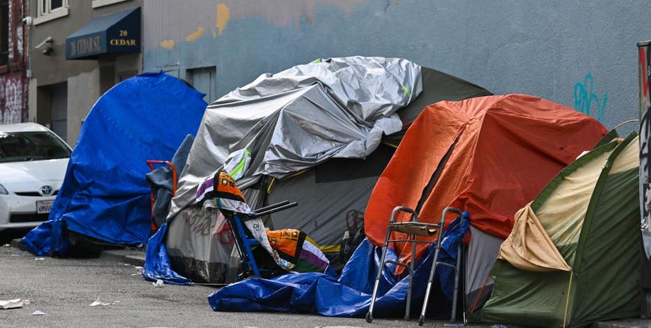 Advocates push for San Francisco to house homeless in empty homes