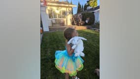 Little girl's pet rabbit stolen in rash of Petaluma thefts