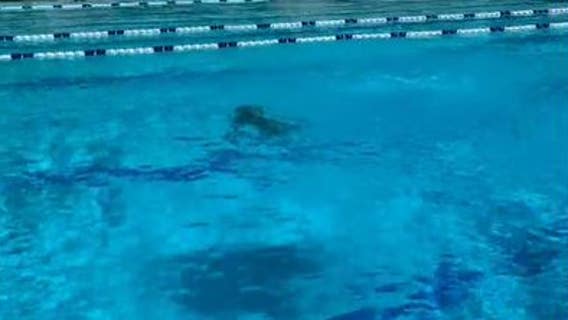 Cameras, security added following alleged assault on minor at Pittsburg public pool