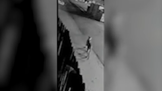 Mountain lion spotted near Vacaville homes