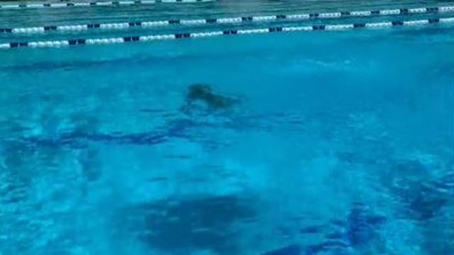 Cameras, security added following alleged assault on minor at Pittsburg public pool