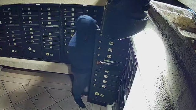 Thief hits all 130 mailboxes at Santa Clara complex