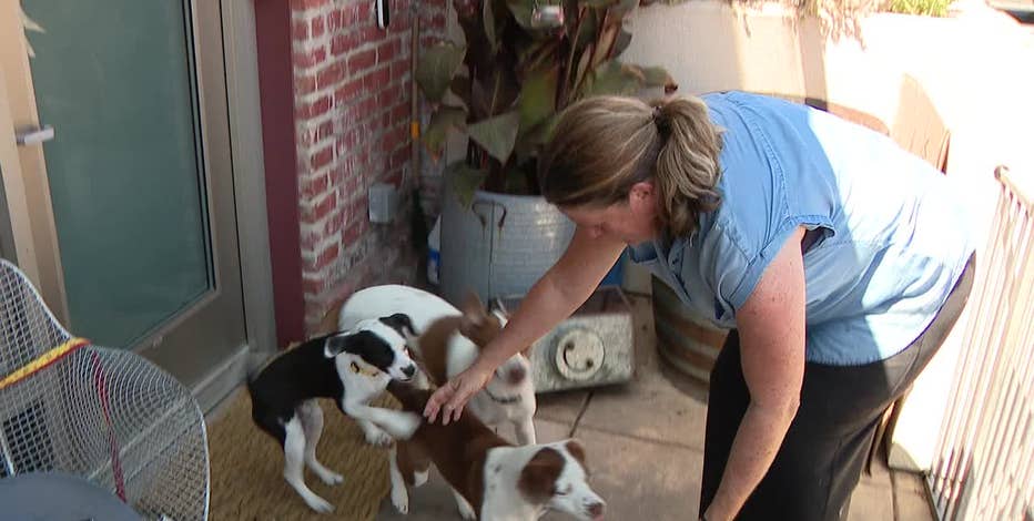 Animal care provider assists San Jose's unhoused residents during encampment sweeps