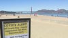 Crissy Field coyote warning issued for off-leash dogs