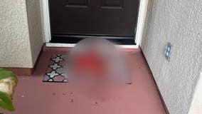 Severed pig head left on California family's front porch