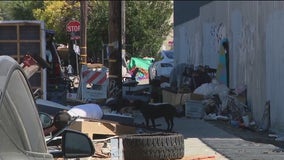 Berkeley businesses sue city over homeless encampments