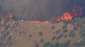 Line Fire in San Bernardino County burns 7,000+ acres; evacuation orders issued